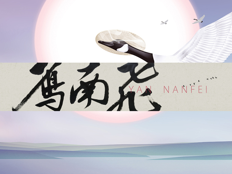 雁南飞 - cover.jpg